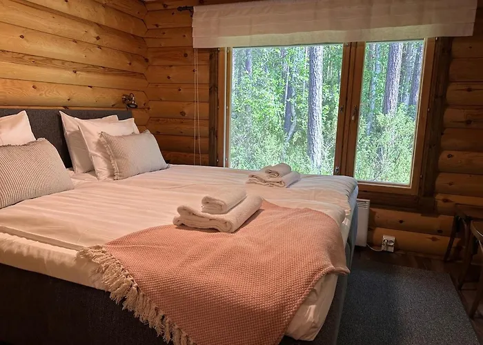 Riverside Hiekkaranta 别墅 *