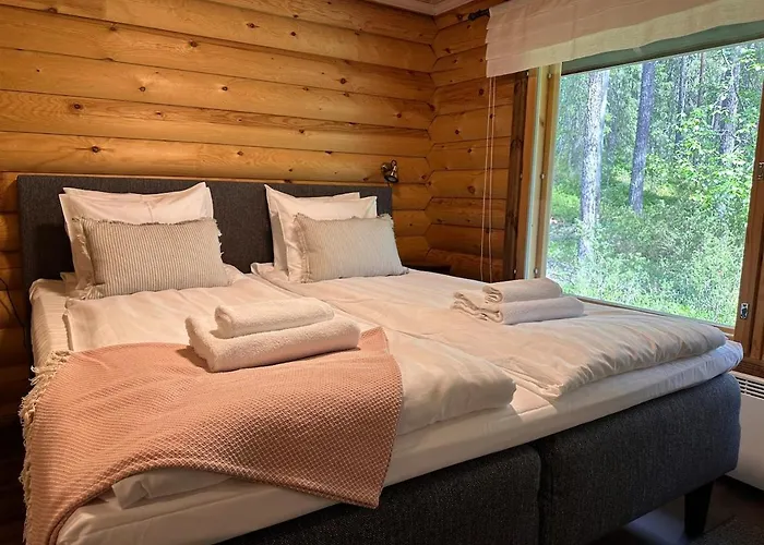 Riverside Hiekkaranta 别墅 *